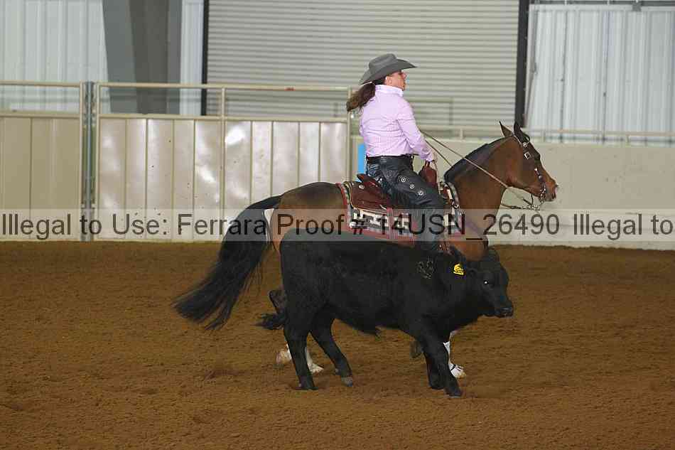 Proof 14usn_26490