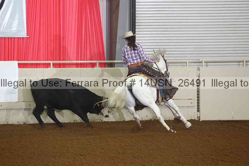 Proof 14usn_26491