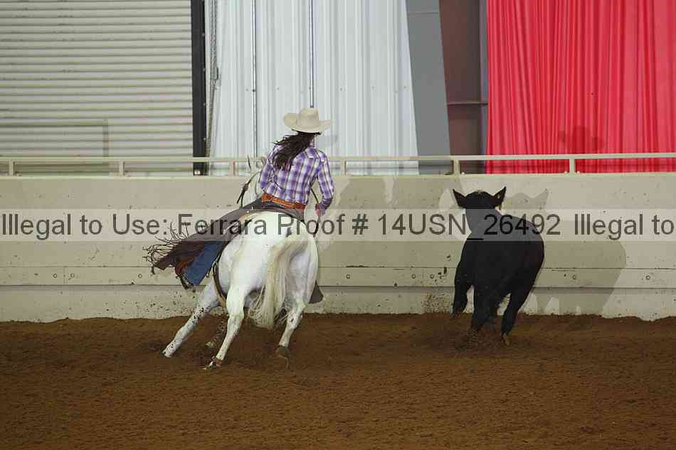 Proof 14usn_26492