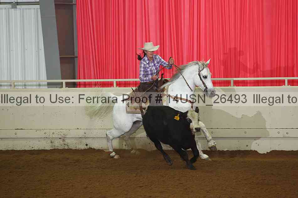Proof 14usn_26493