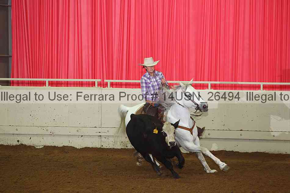 Proof 14usn_26494