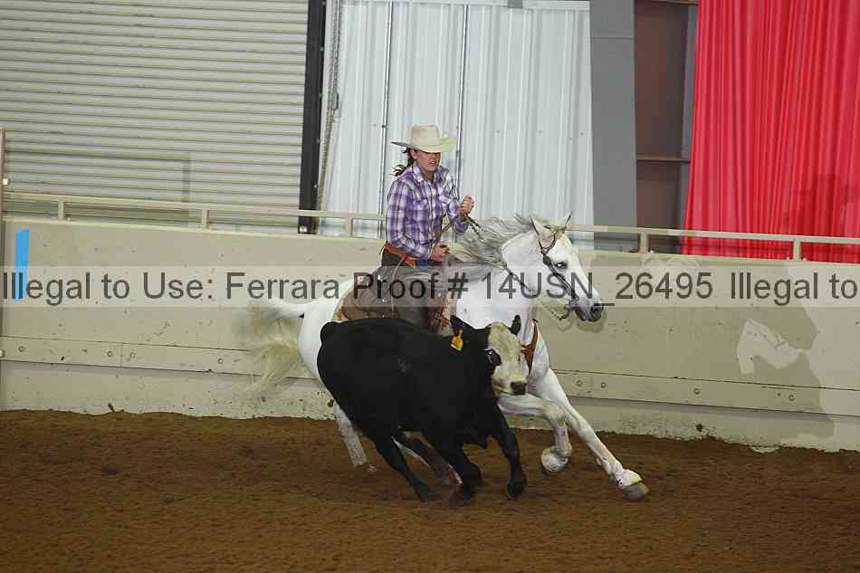 Proof 14usn_26495