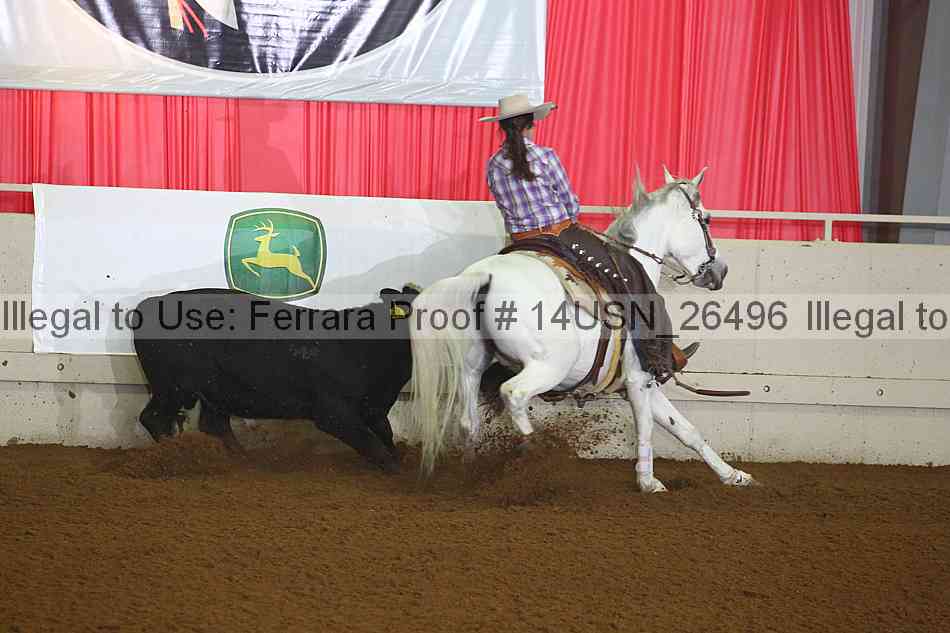 Proof 14usn_26496