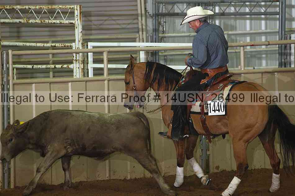 Proof 14usn_26499