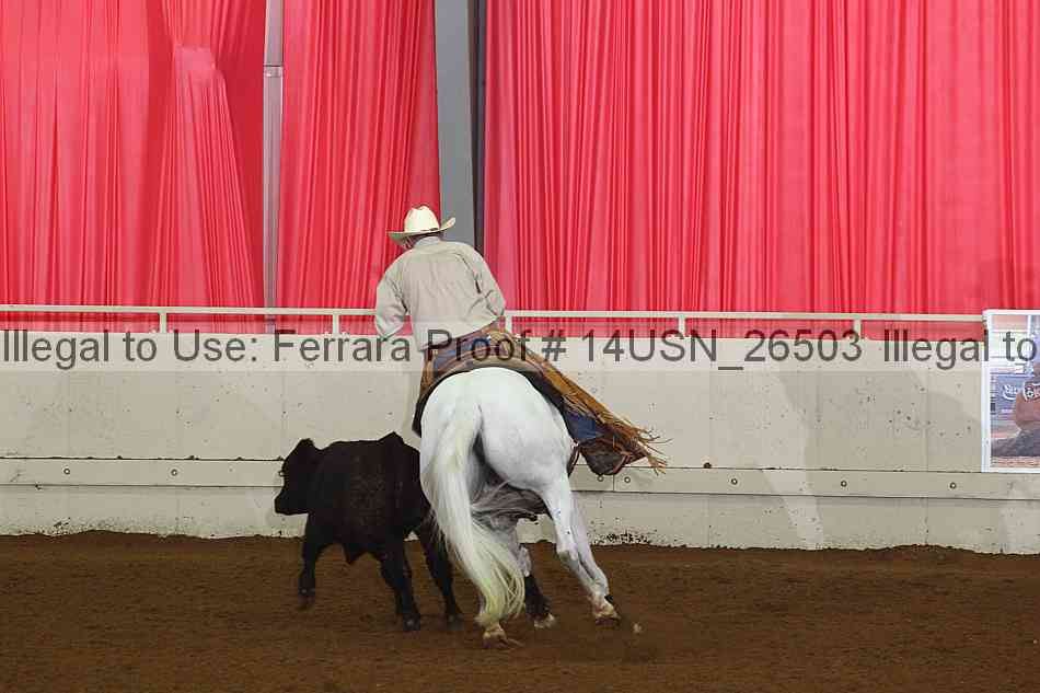 Proof 14usn_26503