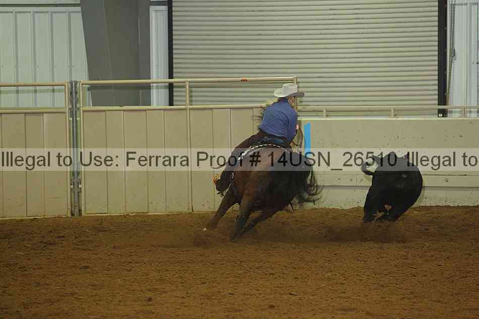 Proof 14usn_26510