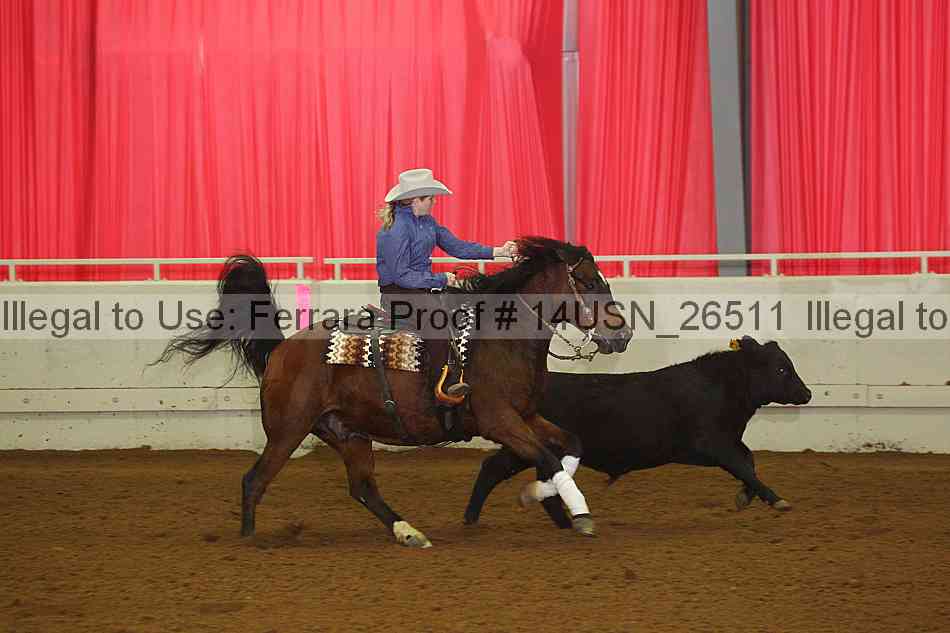 Proof 14usn_26511