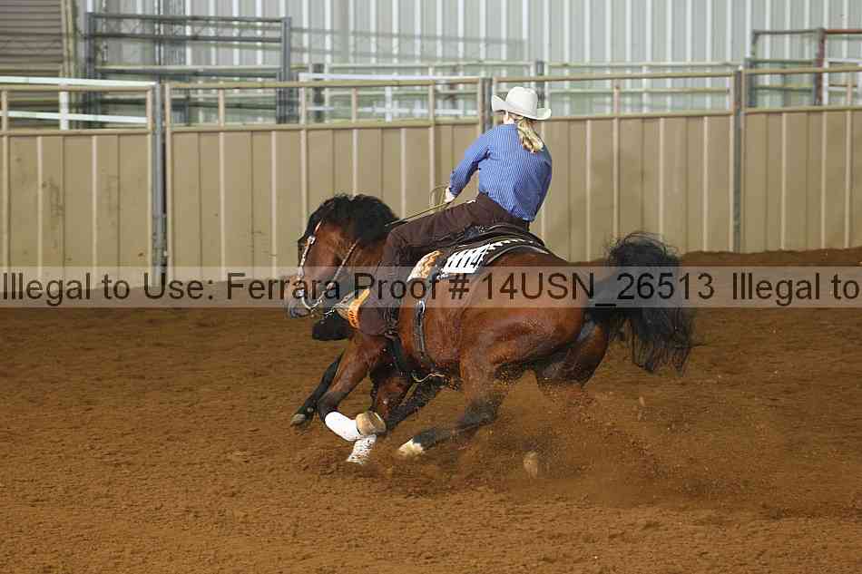 Proof 14usn_26513