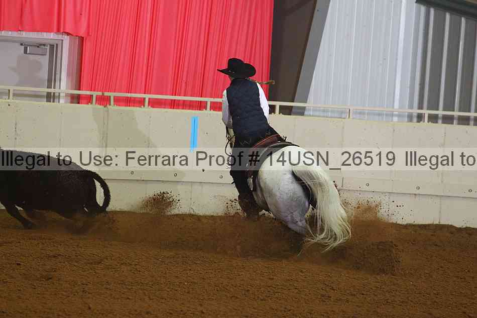 Proof 14usn_26519