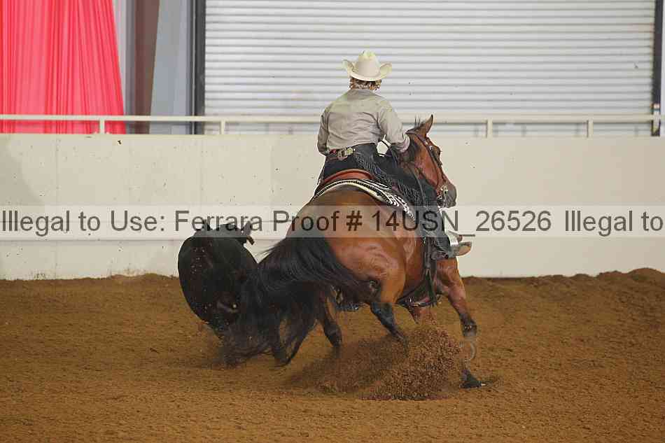 Proof 14usn_26526
