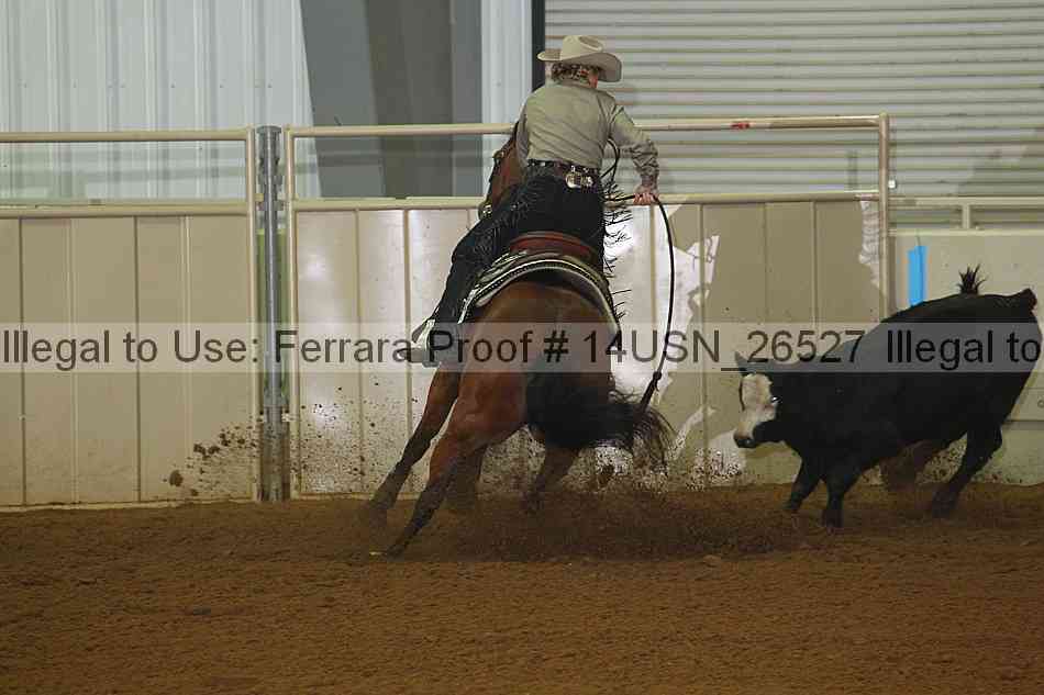 Proof 14usn_26527