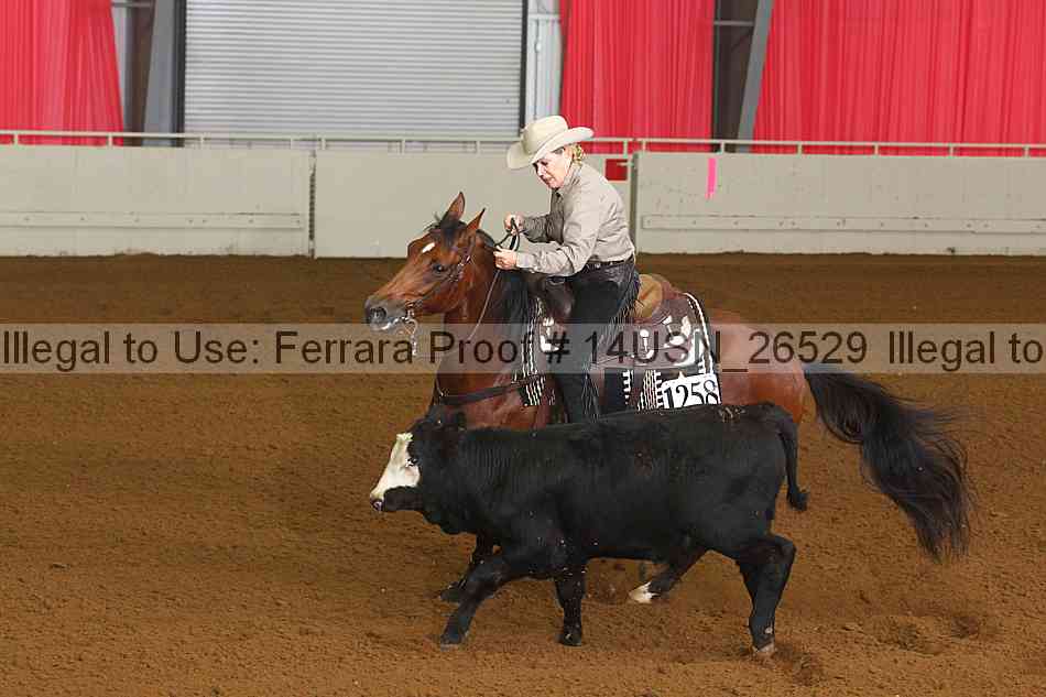 Proof 14usn_26529
