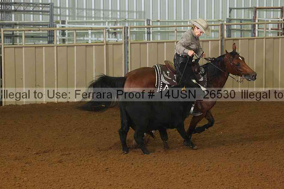 Proof 14usn_26530