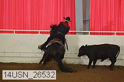 14usn_26532 proof