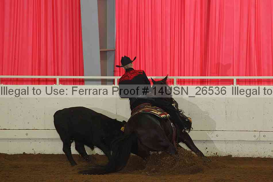 Proof 14usn_26536