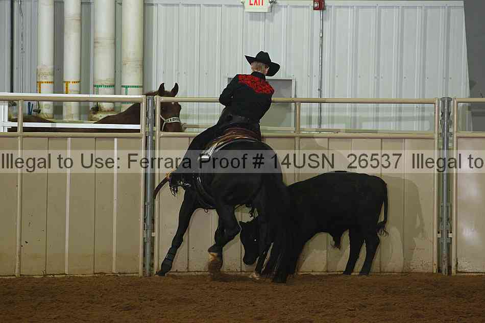 Proof 14usn_26537