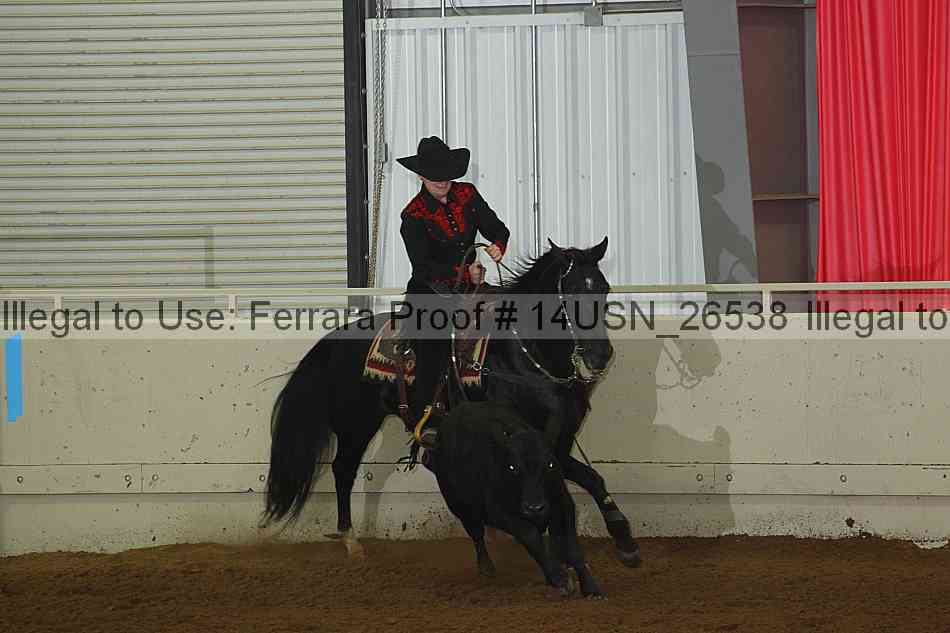 Proof 14usn_26538