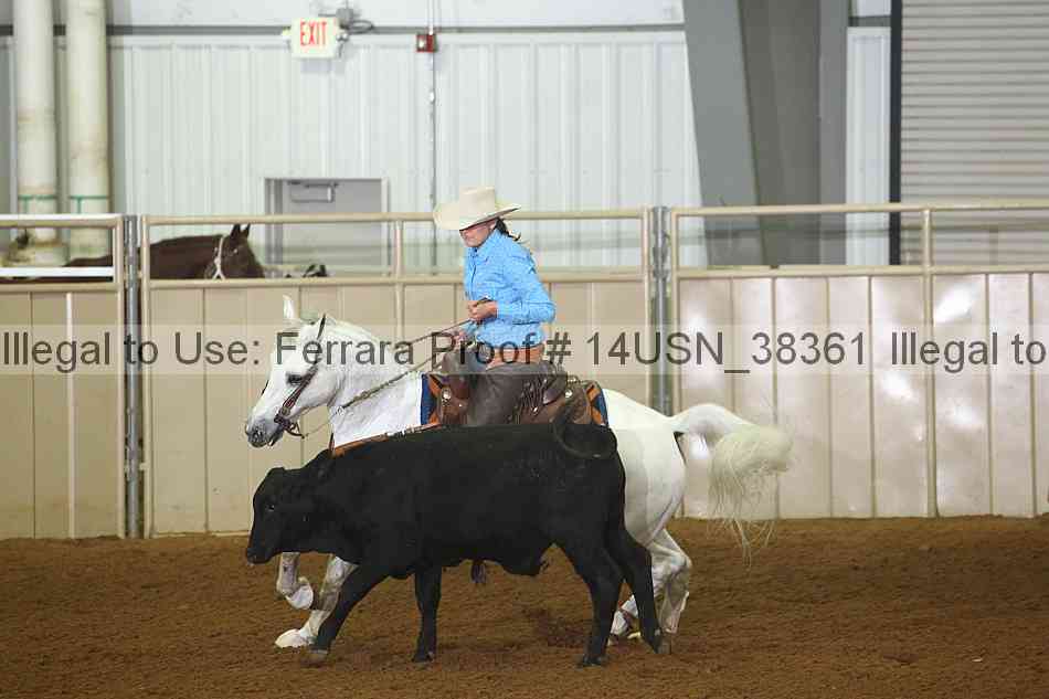Proof 14usn_38361