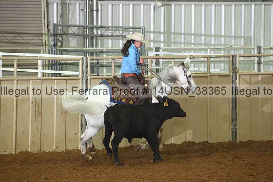 Proof 14usn_38365