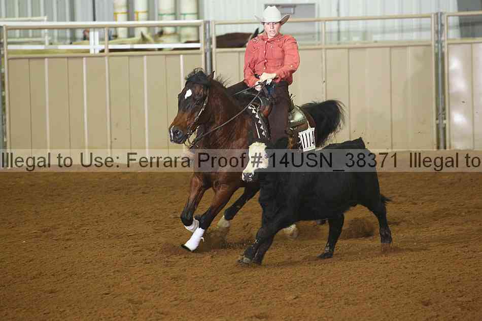Proof 14usn_38371