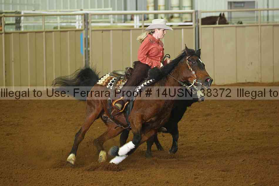 Proof 14usn_38372