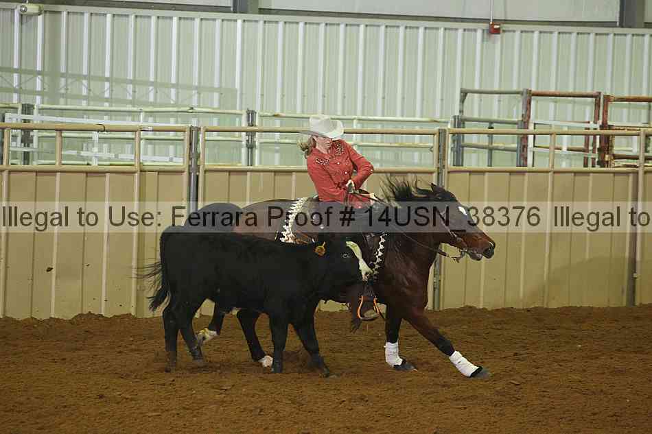 Proof 14usn_38376