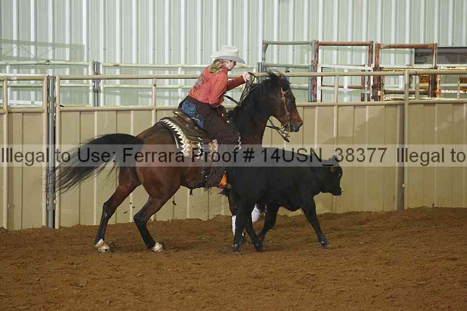 Proof 14usn_38377