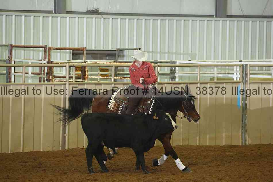 Proof 14usn_38378