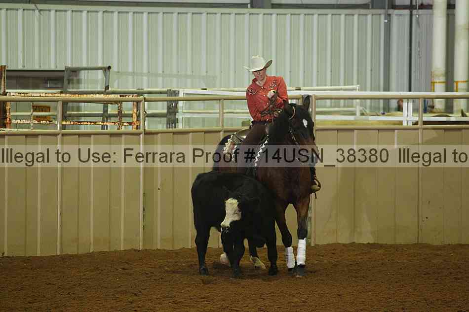 Proof 14usn_38380