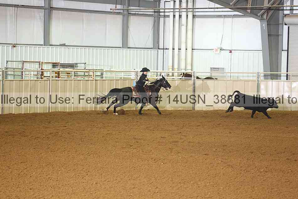 Proof 14usn_38381