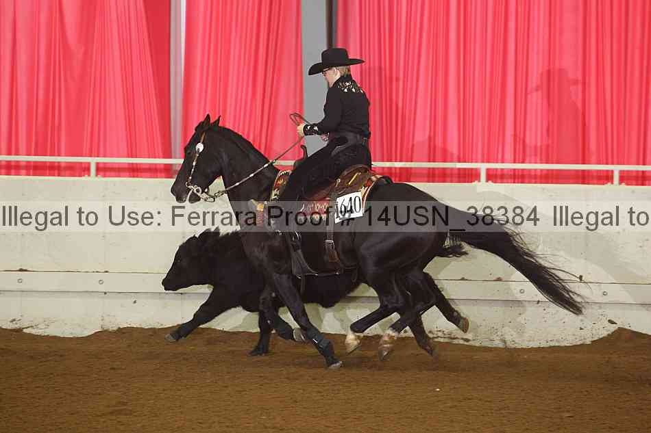 Proof 14usn_38384