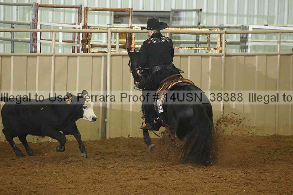 Proof 14usn_38388