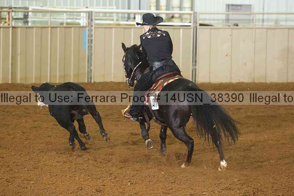 Proof 14usn_38390