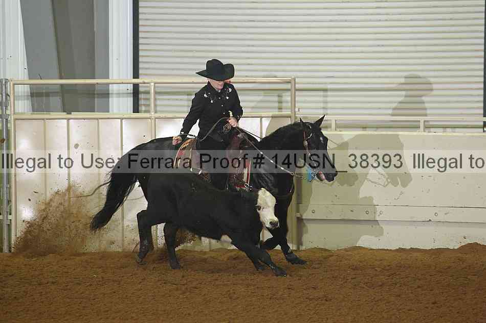 Proof 14usn_38393