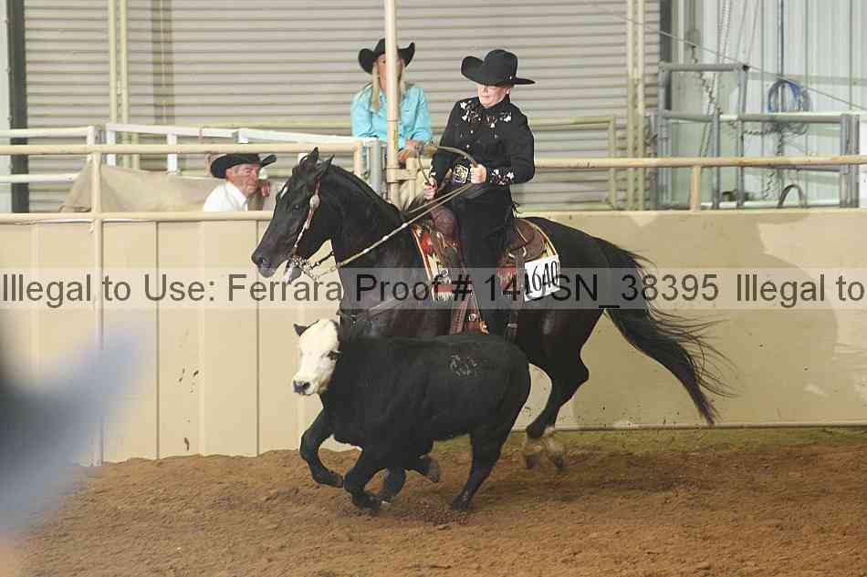 Proof 14usn_38395