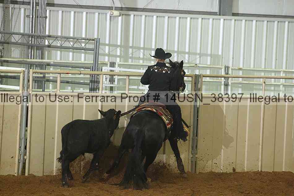 Proof 14usn_38397