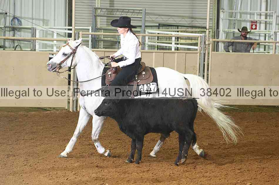 Proof 14usn_38402