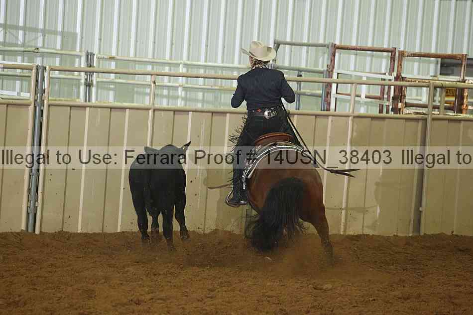 Proof 14usn_38403