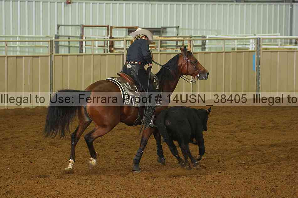 Proof 14usn_38405