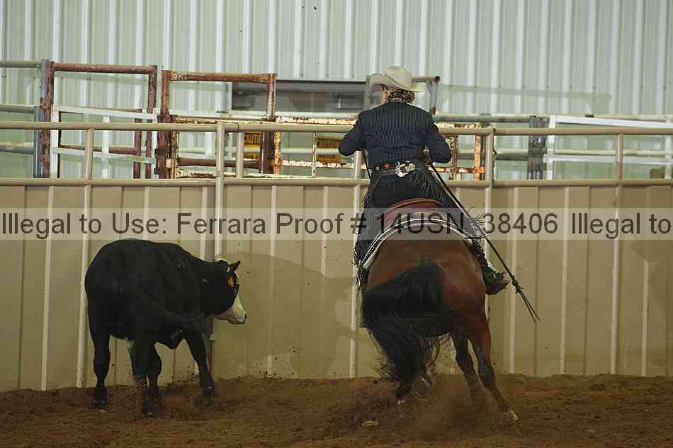 Proof 14usn_38406
