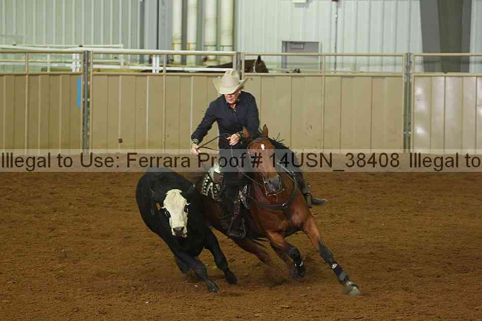 Proof 14usn_38408