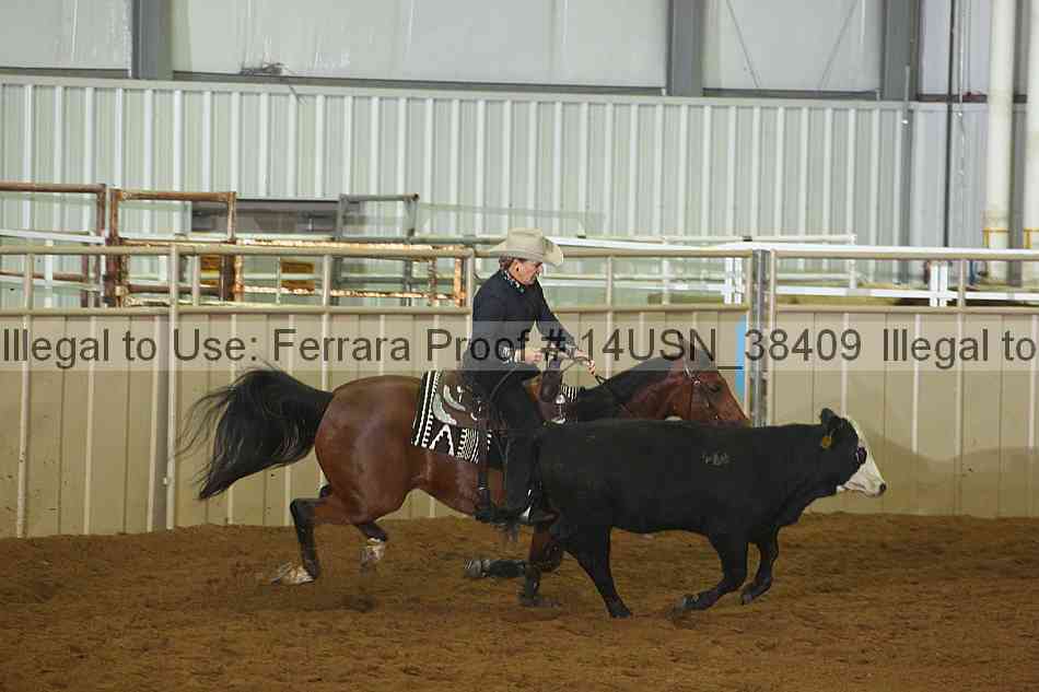 Proof 14usn_38409