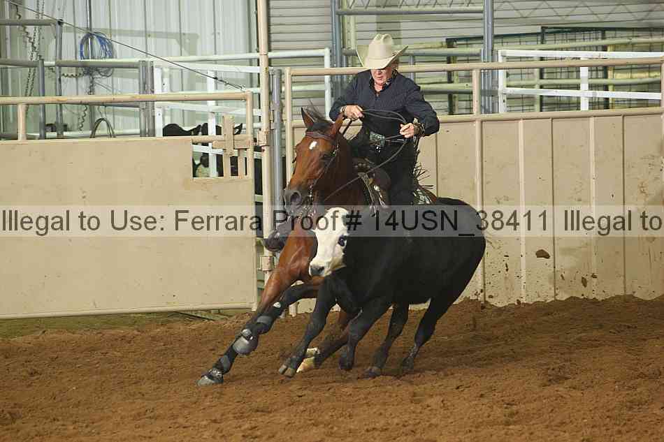 Proof 14usn_38411