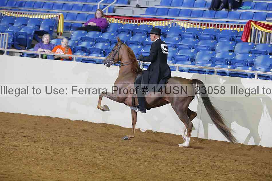 Proof 14usn_23058
