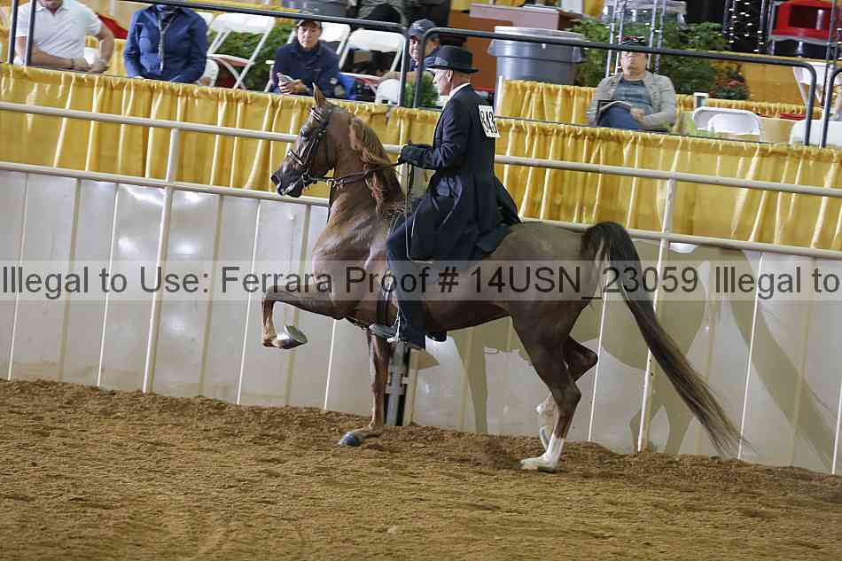 Proof 14usn_23059