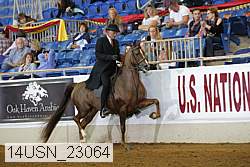 14usn_23064 proof