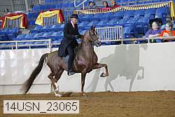 14usn_23065 proof