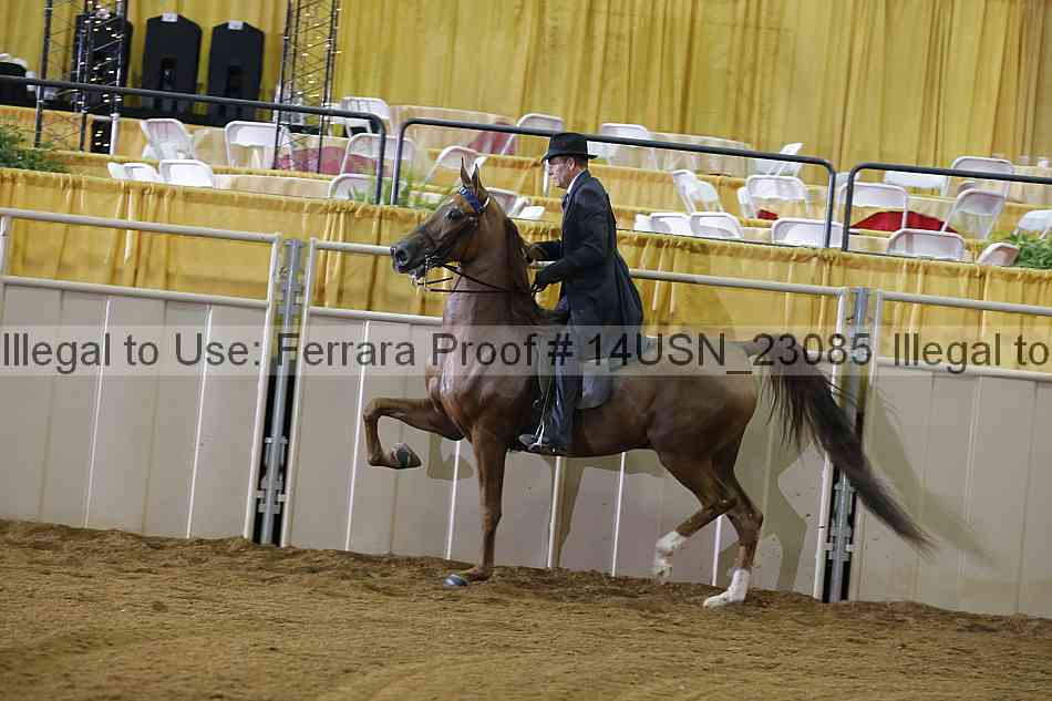 Proof 14usn_23085