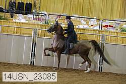 14usn_23085 proof