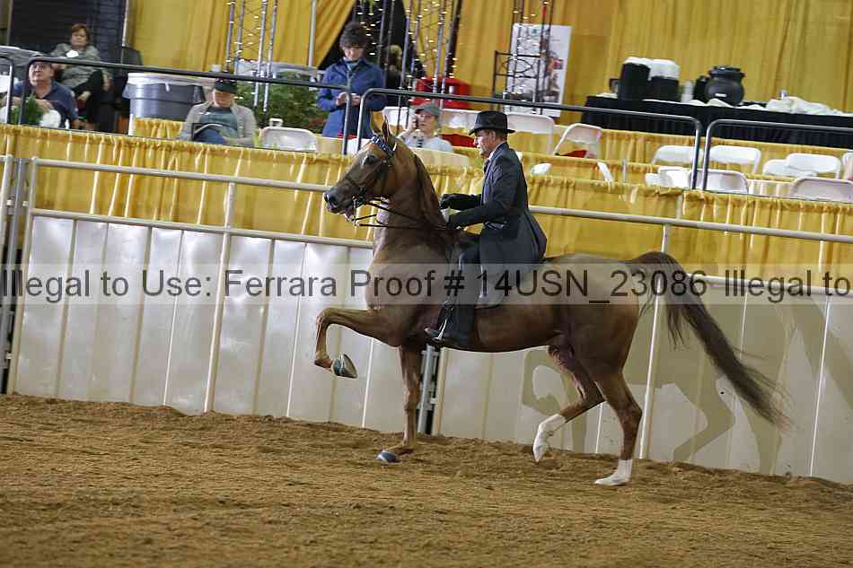 Proof 14usn_23086